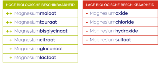 Vitakruid Magnesium tauraat met P-5-P 180 vegetarische capsules